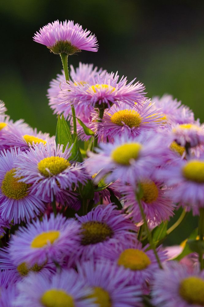 Photograph by Ксения Астафьева