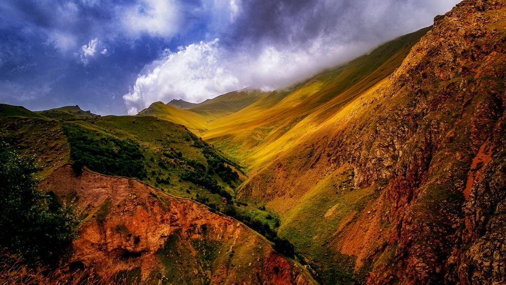 Photograph by Медведева Елена