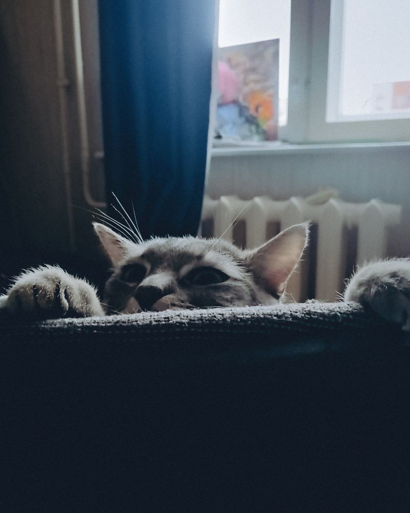 Photograph by Елена Ерасова