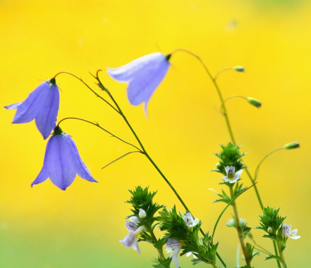 Photograph by София Бояринцева