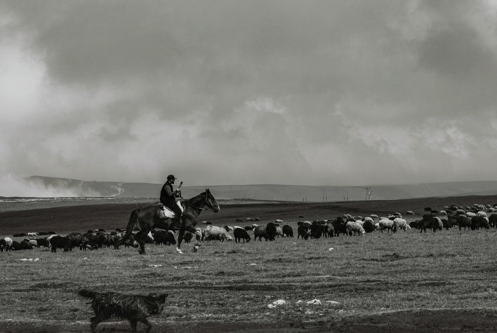 Photograph by Медведева Елена