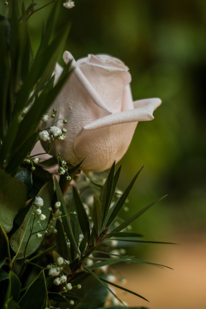 Photograph by Evelyn Carnot Montes