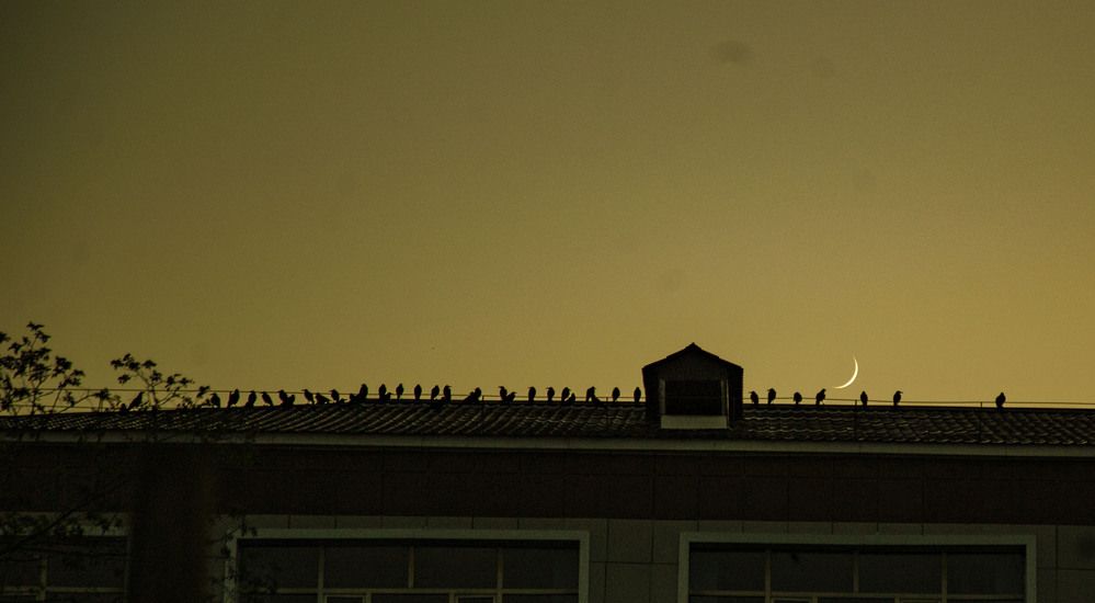 Photograph by Алтынбек Қартабай