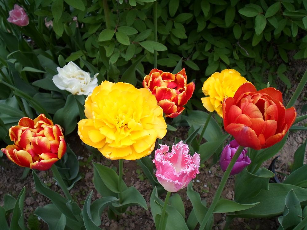 Photograph by Михаил Сербаев