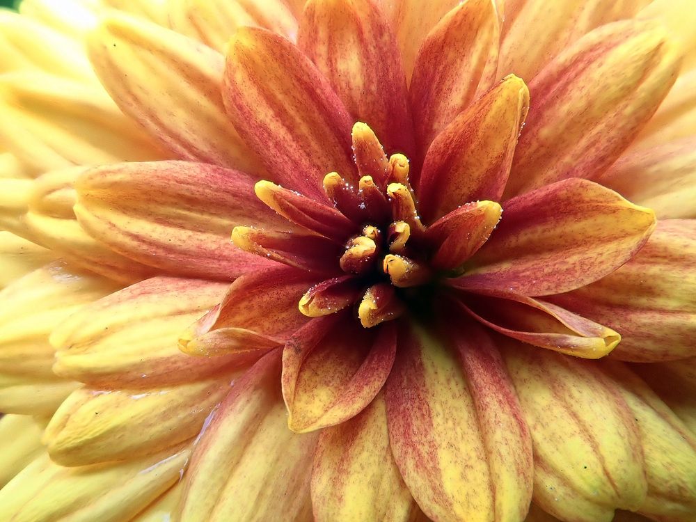 Photograph by Алексей Амилющенко