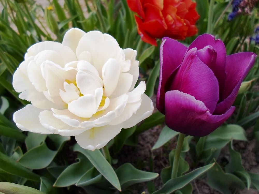 Photograph by Михаил Сербаев