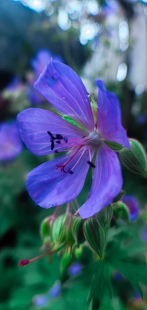 Photograph by Анастасия Семилетова