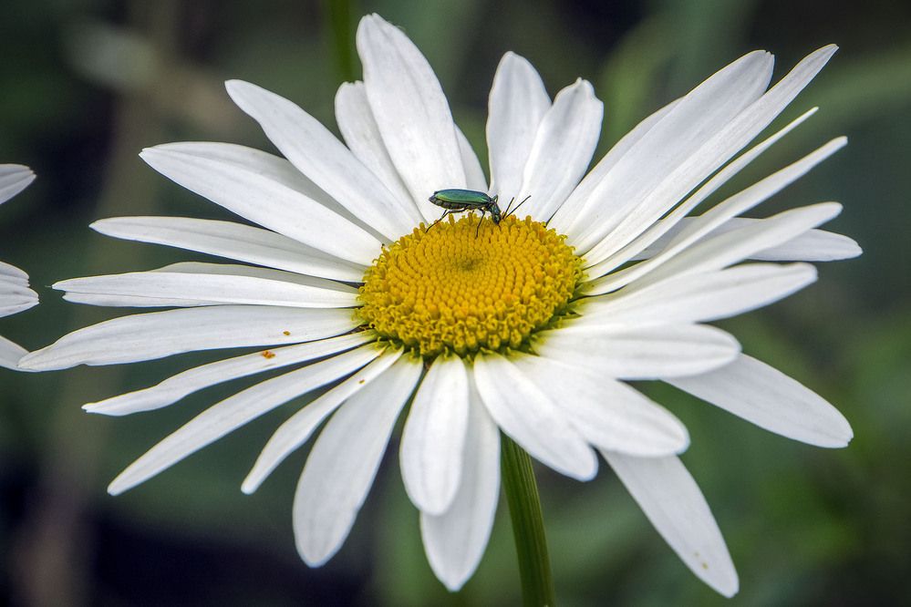 Photograph by Евгений Киселев