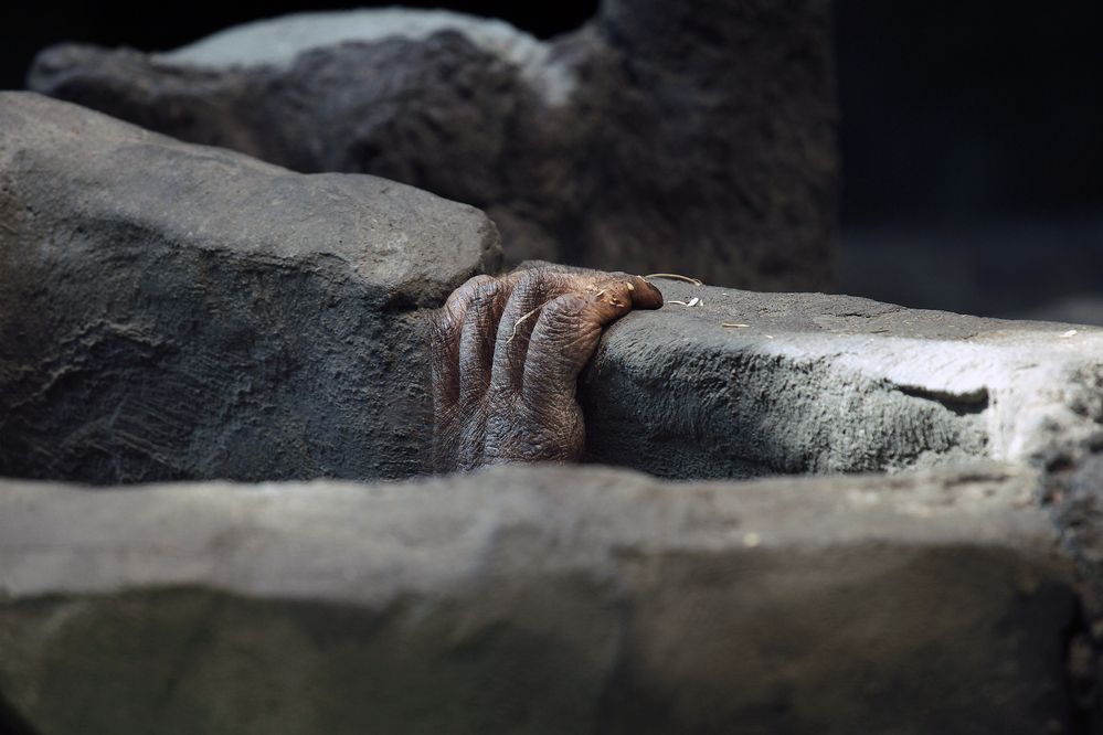 Photograph by Алексей Амилющенко