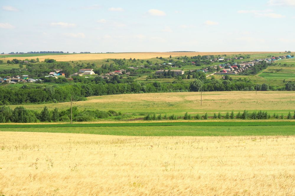 Photograph by Орл Про