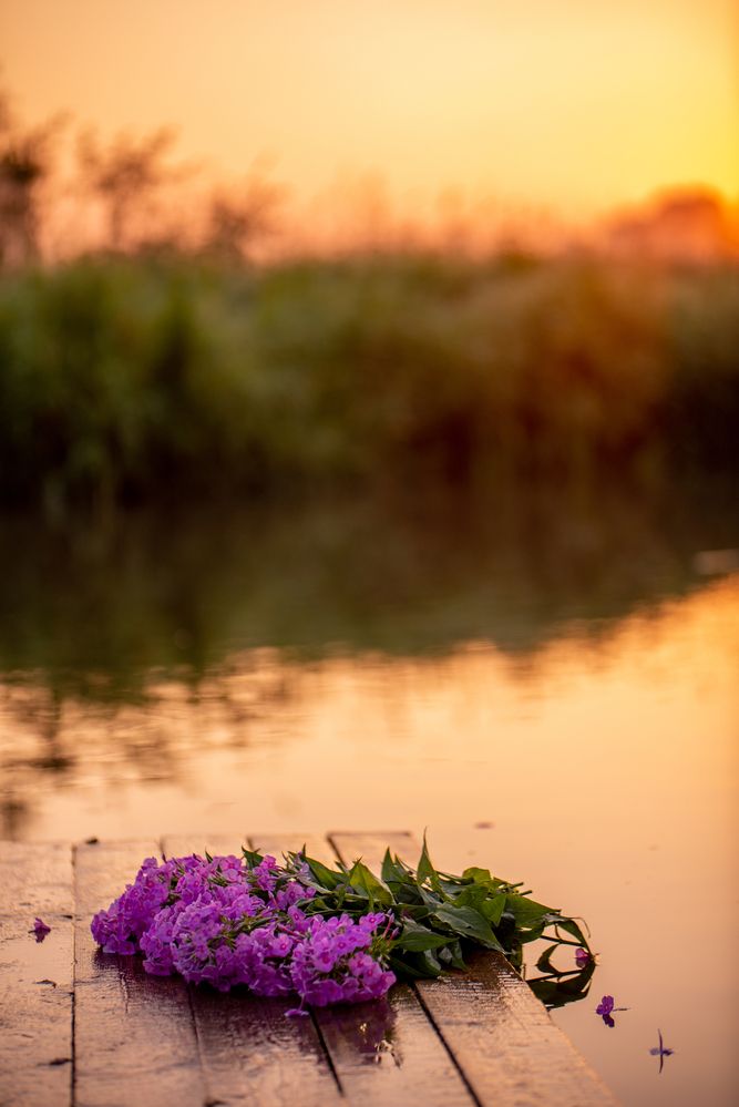 Photograph by Юлия Полянцева