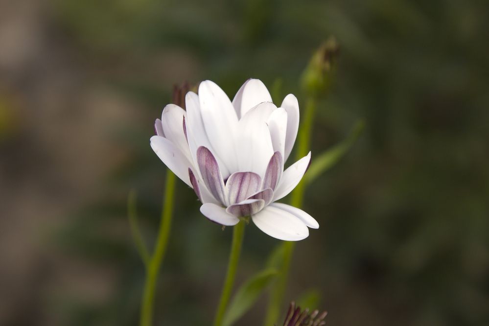 Photograph by Наталья Кирина