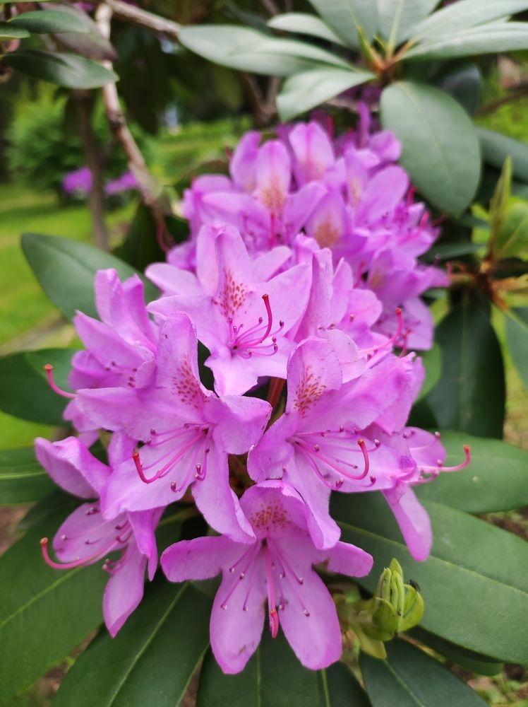 Photograph by Татьяна Никулина