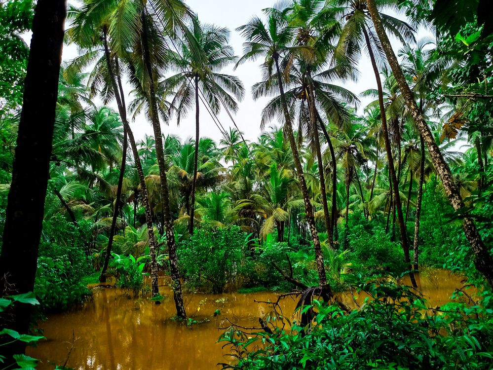 Photograph by SHRIYAKSHI