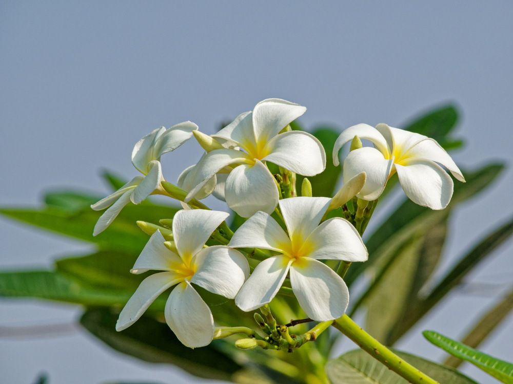 Photograph by Андрей Панин