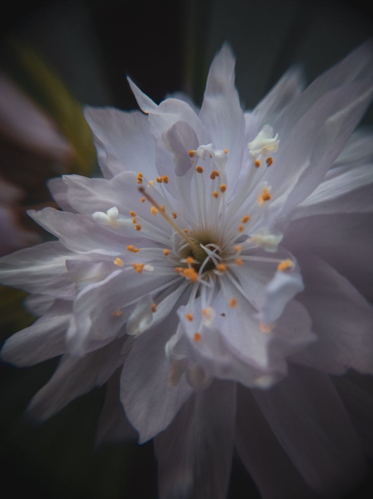 Photograph by Сергей Пыдык