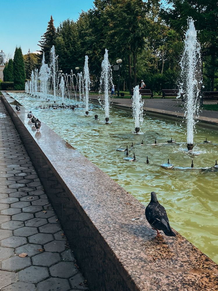 Photograph by Регина Габдулхаева