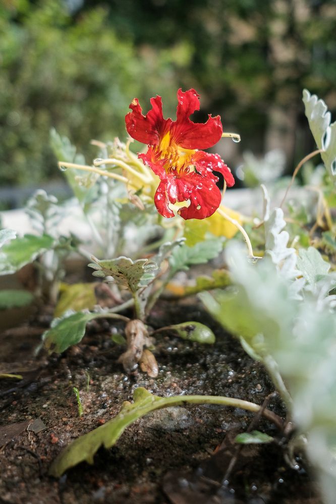 Photograph by Алексей Раимун