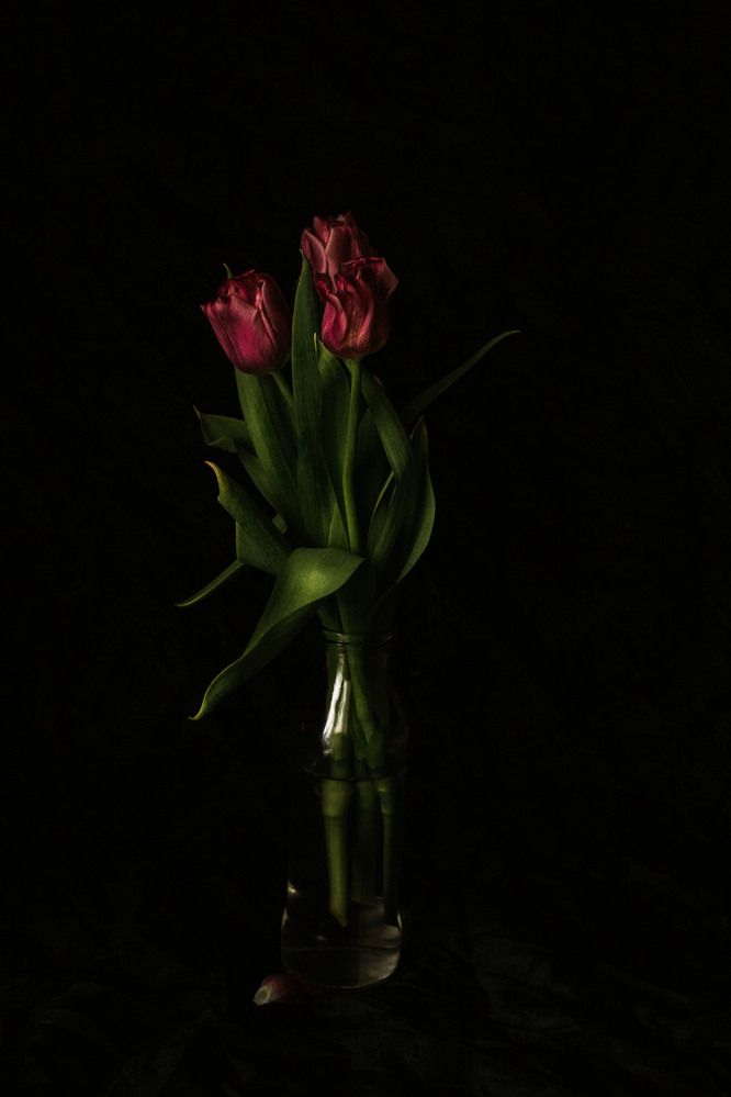 Photograph by Нелли