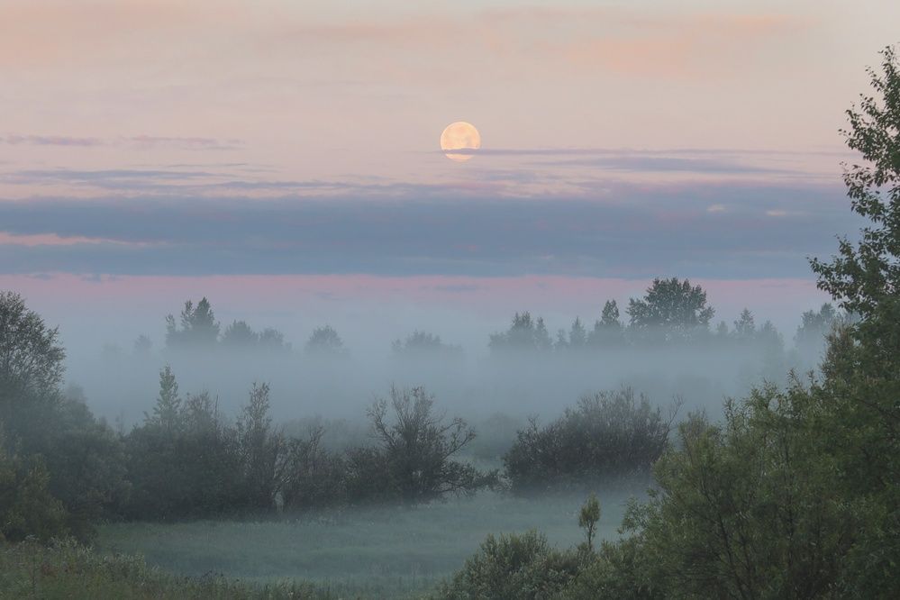 Photograph by Буркин Константин