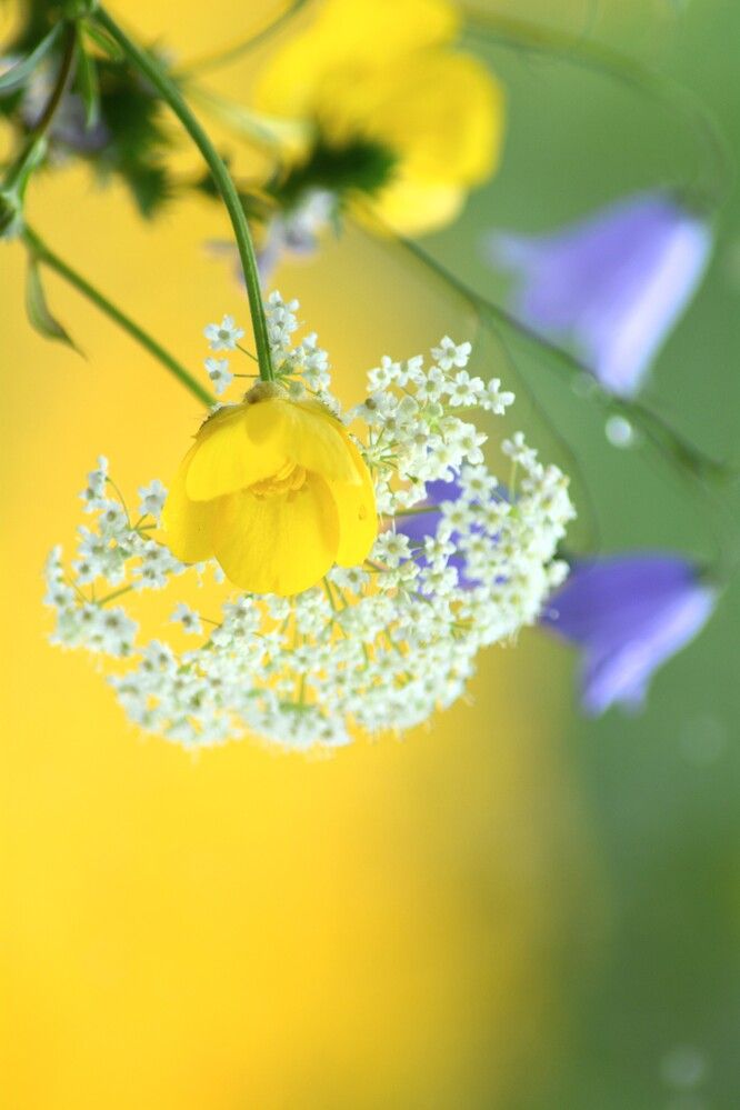 Photograph by София Бояринцева