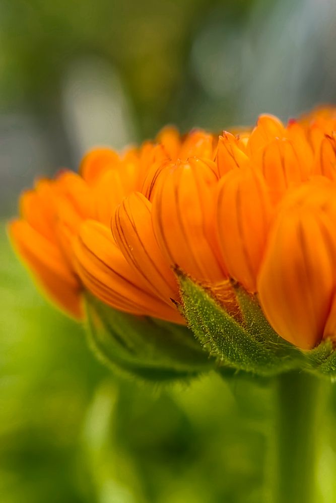 Photograph by Анастасия Семилетова