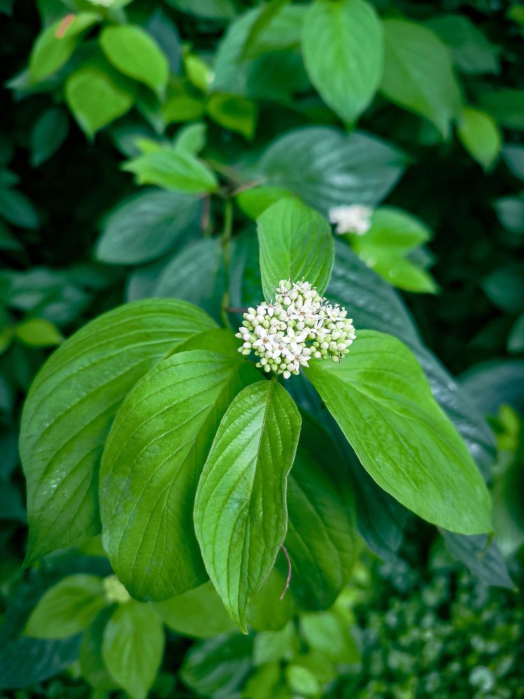 Photograph by Алексей Раимун