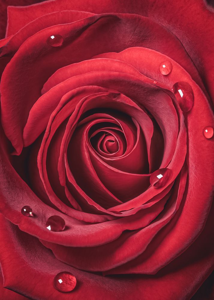 Фотография автора  Eirene