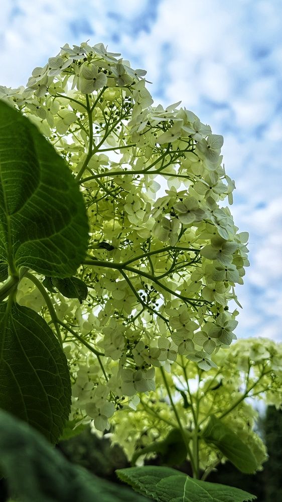 Photograph by Светлана Рубцова