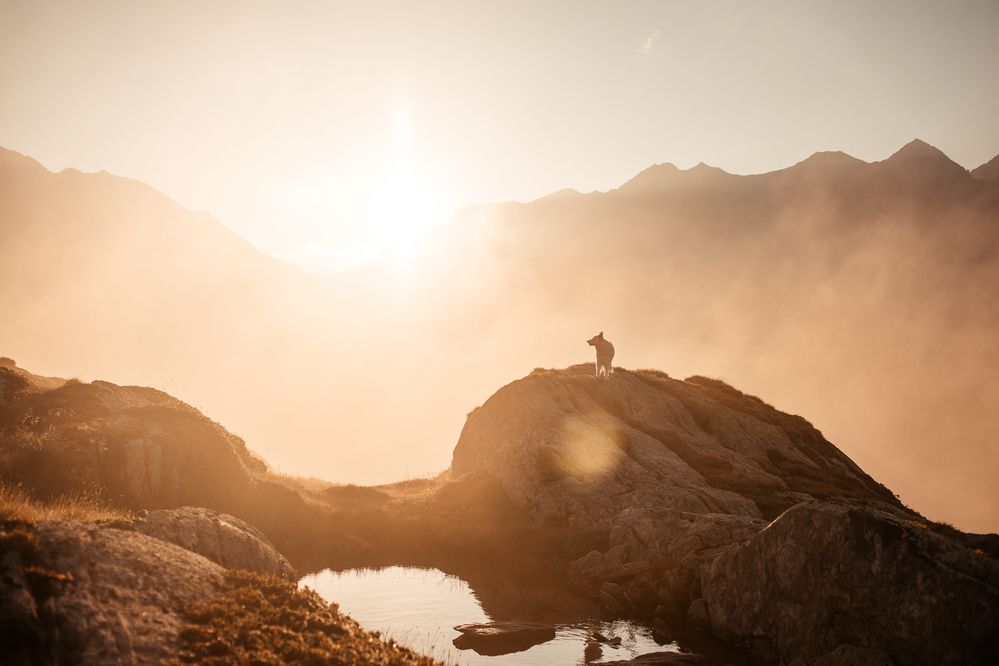 Photograph by Fabienne Gassmann