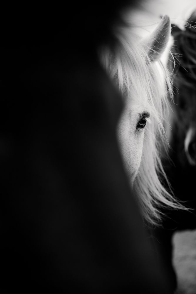 Фотография автора Fabienne Gassmann