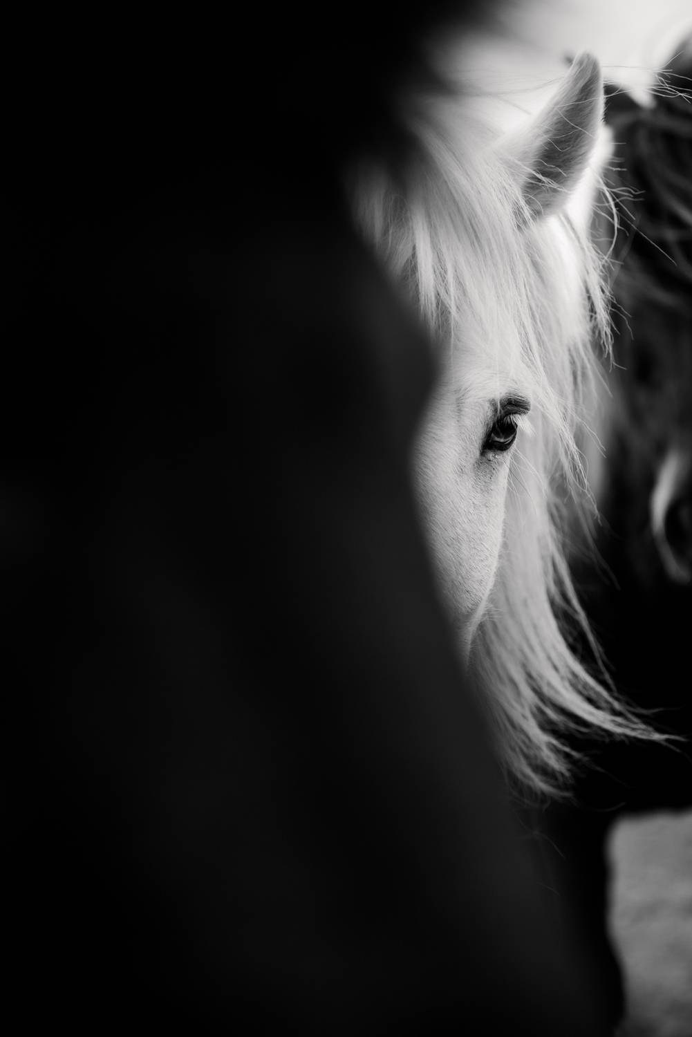 Фотография #12497506