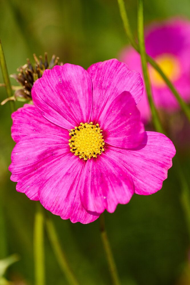 Фотография автора Павел Золенко