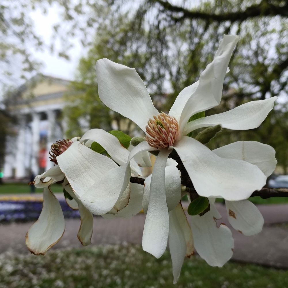 Photograph by Ирина Шведчикова