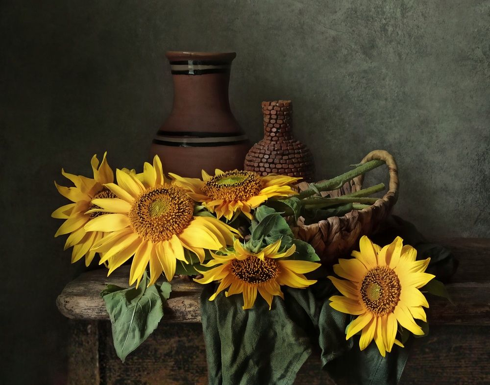 Photograph by Elena Novikova