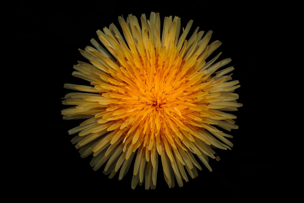 Photograph by Valentin Kolinko