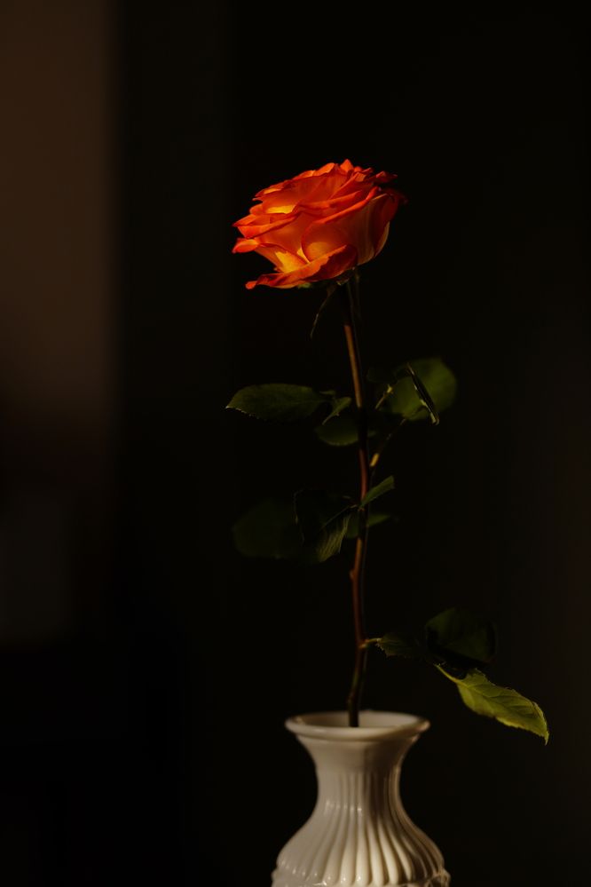 Photograph by Татьяна Стружкина