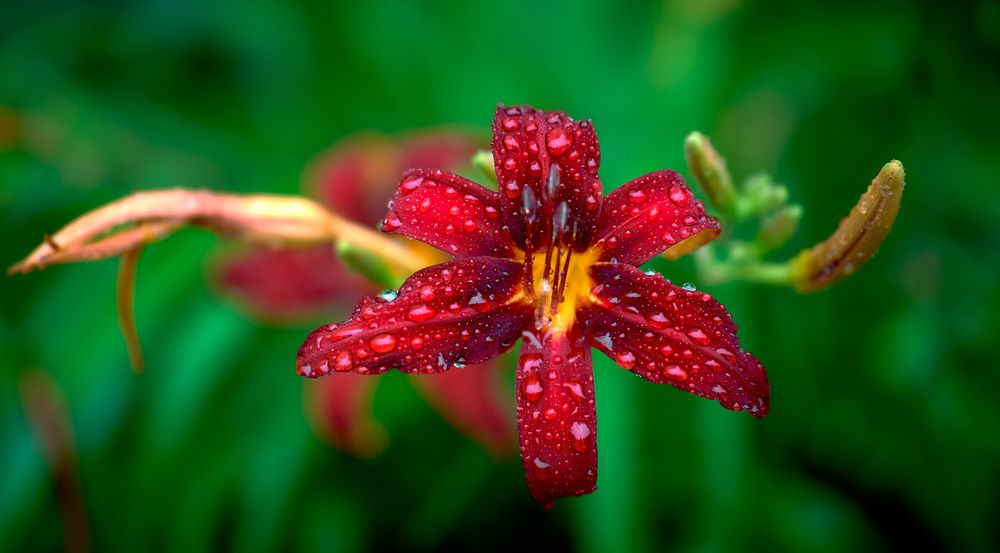 Photograph by Андрей Некрашевич