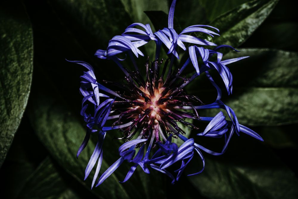 Photograph by Valentin Kolinko