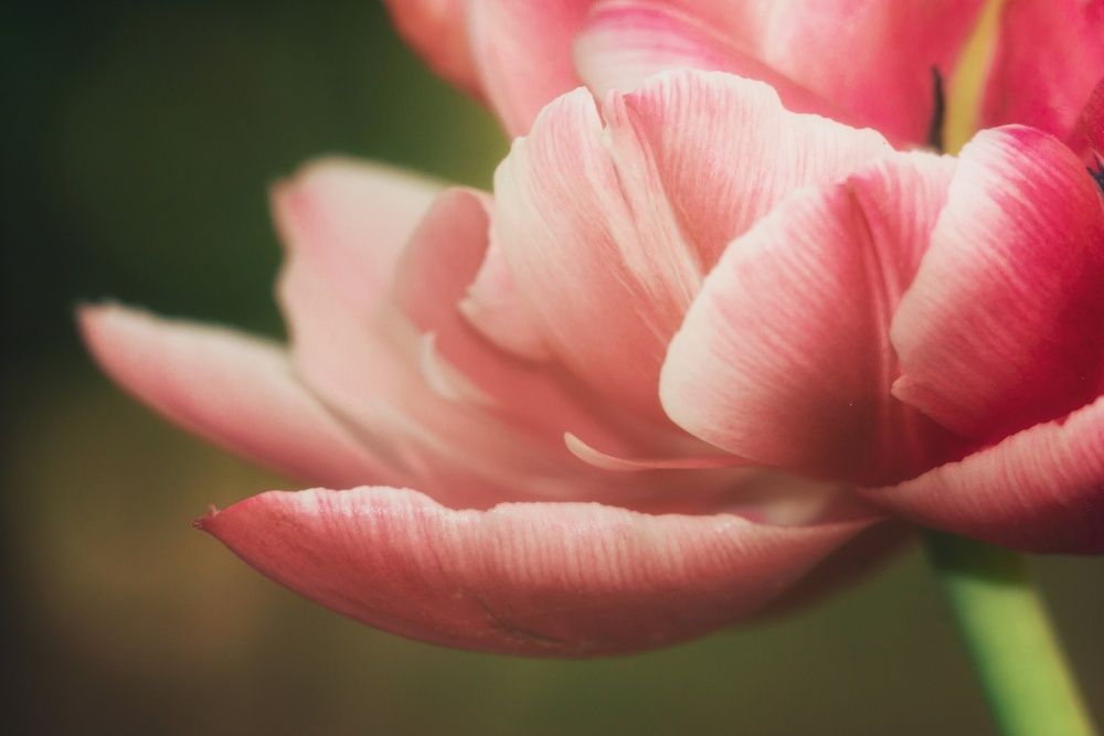 Фотография автора Сергей Вдовин