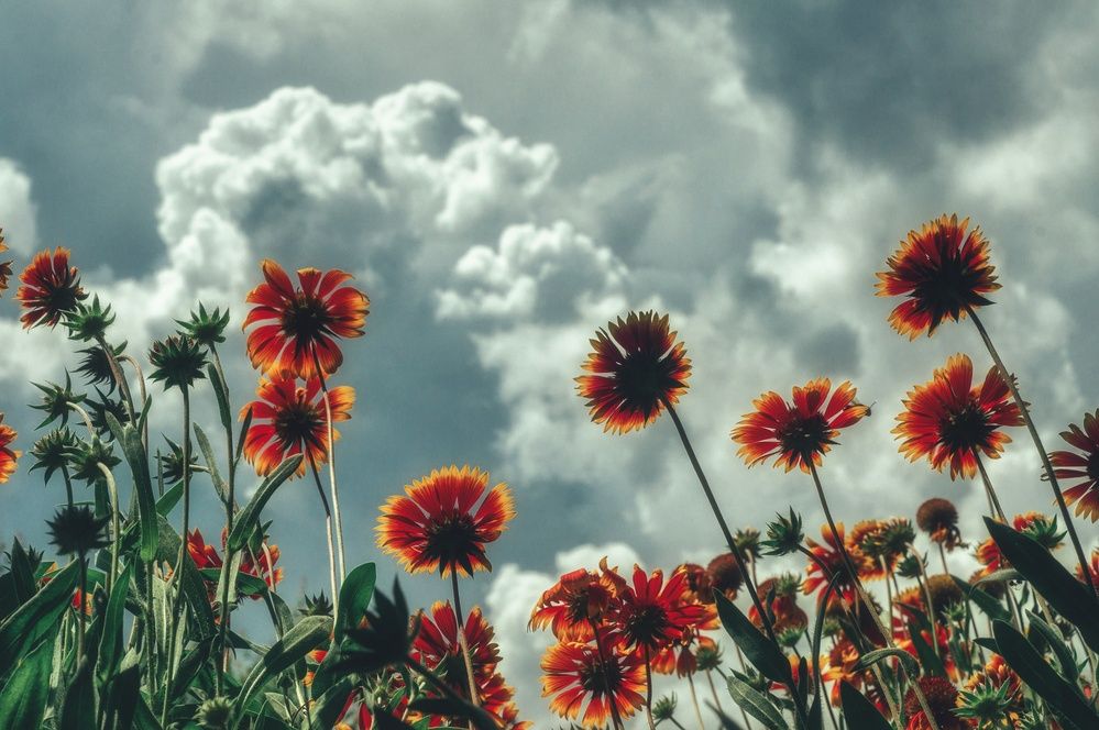Фотография автора Сергей Вдовин