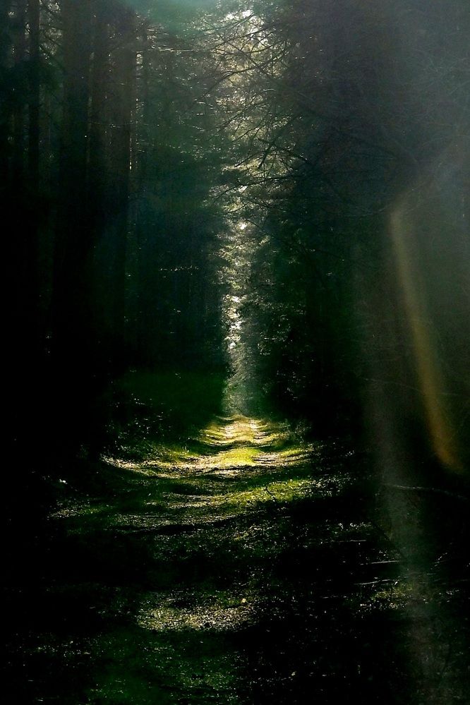 Photograph by Егор Жук