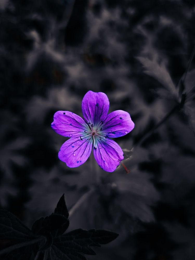 Photograph by Valentin Kolinko