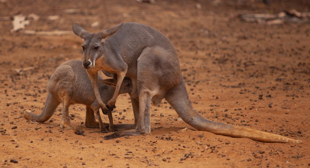 Photograph by Lada Tregubov