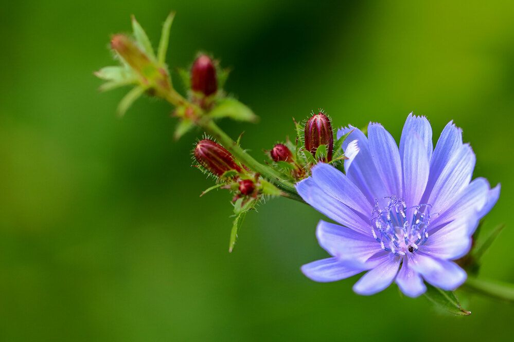 Фотография автора Светлана Долотова