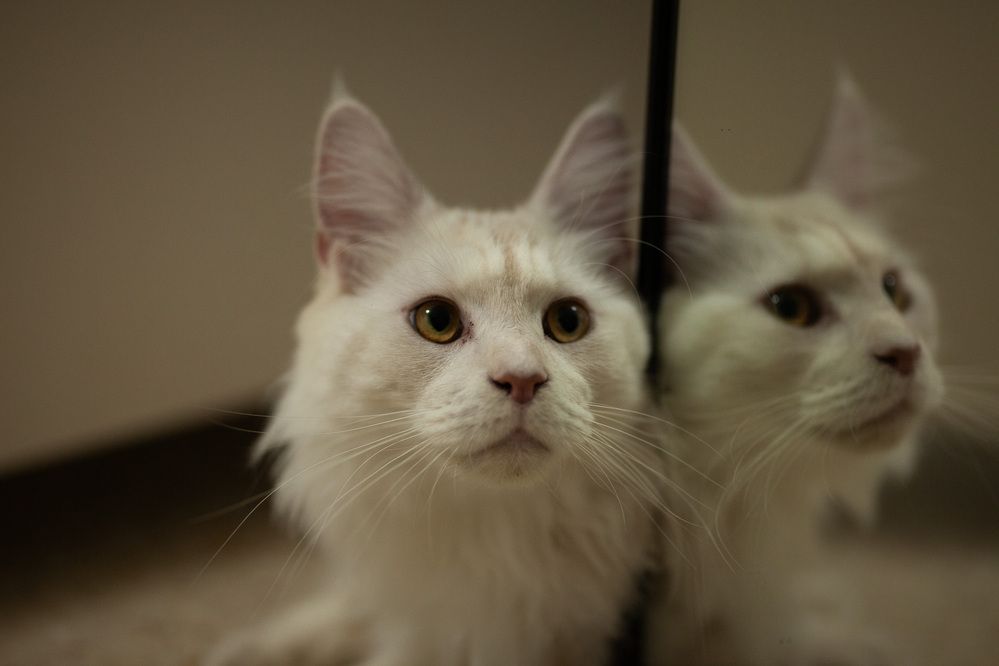 Photograph by Lada Tregubov