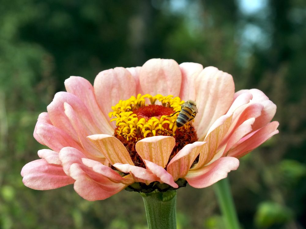 Photograph by Сергей Рябов