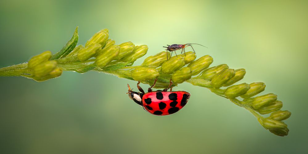 Photograph by Atul Saluja