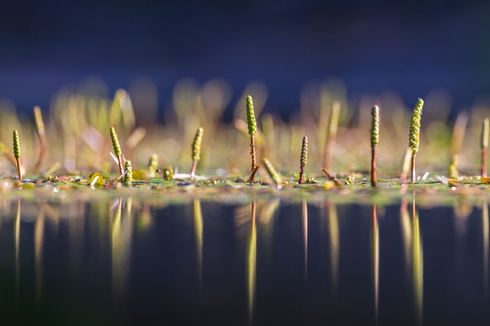 Photograph by Вера Машина