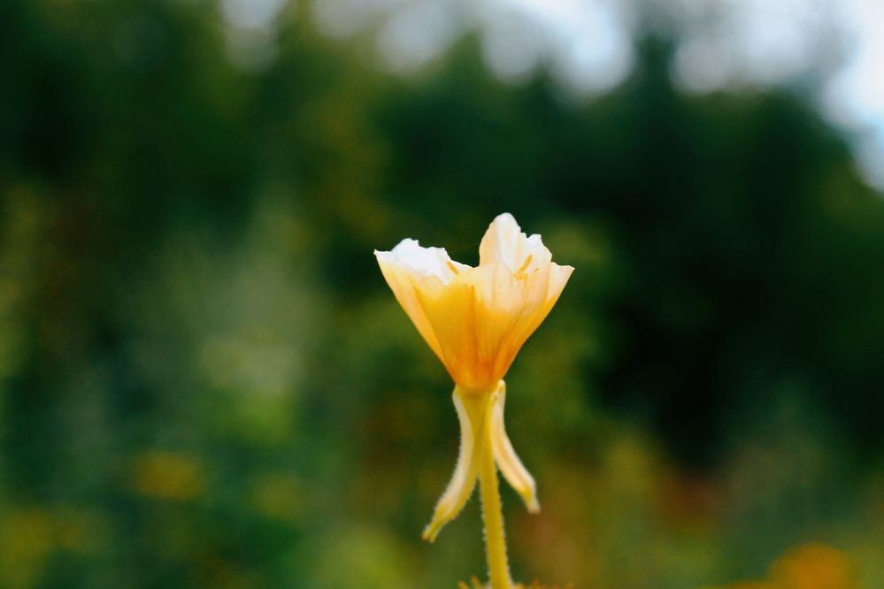 Photograph by Любовь